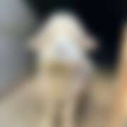 ヒメ日記 2026/03/12 20:39 投稿 あの さくらん