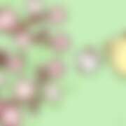 ヒメ日記 2026/03/22 21:38 投稿 あの さくらん