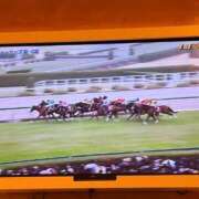 ヒメ日記 2025/03/02 16:01 投稿 ミチ エピソード(品川)