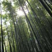 ヒメ日記 2025/06/23 18:53 投稿 瑞穂-みずほ【FG系列】 ほんとうの人妻 厚木店【FG系列】