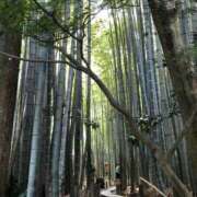 ヒメ日記 2025/07/13 16:20 投稿 瑞穂-みずほ【FG系列】 ほんとうの人妻 厚木店【FG系列】