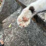 ヒメ日記 2025/09/15 22:11 投稿 瑞穂-みずほ【FG系列】 ほんとうの人妻 厚木店【FG系列】