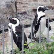 ヒメ日記 2025/12/07 23:59 投稿 瑞穂-みずほ【FG系列】 ほんとうの人妻 厚木店【FG系列】