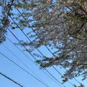 ヒメ日記 2026/04/08 18:20 投稿 瑞穂-みずほ【FG系列】 ほんとうの人妻 厚木店【FG系列】