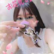 ヒメ日記 2025/03/25 22:34 投稿 ゆの 錦糸町人妻セレブリティ（ユメオト）