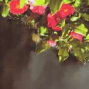 ヒメ日記 2025/04/10 23:10 投稿 ゆの 錦糸町人妻セレブリティ（ユメオト）