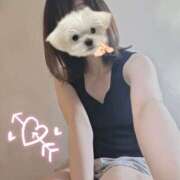 ヒメ日記 2025/04/26 11:06 投稿 ゆの 錦糸町人妻セレブリティ（ユメオト）