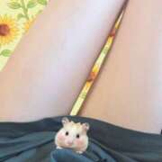 ヒメ日記 2025/05/07 11:54 投稿 ゆの 錦糸町人妻セレブリティ（ユメオト）