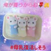 ヒメ日記 2025/12/03 12:40 投稿 ゆの 錦糸町人妻セレブリティ（ユメオト）