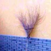 ヒメ日記 2026/04/07 23:44 投稿 ゆの 錦糸町人妻セレブリティ（ユメオト）