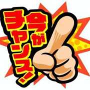 ヒメ日記 2025/04/15 10:43 投稿 加藤 BBW横浜店