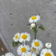 ヒメ日記 2025/04/20 14:28 投稿 加藤 BBW横浜店