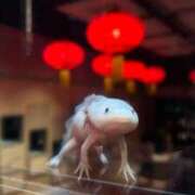 ヒメ日記 2025/05/31 20:04 投稿 加藤 BBW横浜店