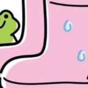 ヒメ日記 2025/07/16 14:06 投稿 加藤 BBW横浜店