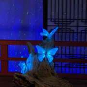 ヒメ日記 2025/09/19 10:40 投稿 加藤 BBW横浜店