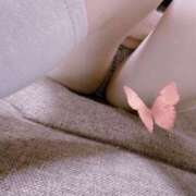 ヒメ日記 2025/11/26 10:15 投稿 瞳-ひとみ【FG系列】 ほんとうの人妻 厚木店【FG系列】