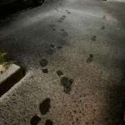 ヒメ日記 2025/03/06 00:16 投稿 シホ エピソード(品川)