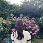 ヒメ日記 2025/06/26 03:01 投稿 シホ エピソード(品川)