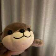 ヒメ日記 2025/12/13 05:01 投稿 シホ エピソード(品川)