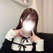 ヒメ日記 2025/12/23 12:01 投稿 シホ エピソード(品川)