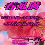 宮田まり とってもお得情報！！ 五十路マダム 新潟店(カサブランカグループ)