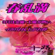 宮田まり キャンペーン中に是非ー！！ 五十路マダム 新潟店(カサブランカグループ)