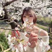 ヒメ日記 2026/03/26 15:06 投稿 りおん シャブール