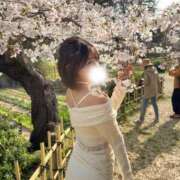 ヒメ日記 2026/03/31 18:03 投稿 りおん シャブール