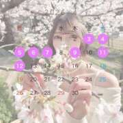 ヒメ日記 2026/04/01 12:03 投稿 りおん シャブール