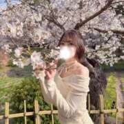 ヒメ日記 2026/04/07 18:47 投稿 りおん シャブール