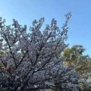 なこ 🌸 スピードエコ梅田店