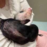 ヒメ日記 2025/04/09 20:31 投稿 れな マリン土浦本店