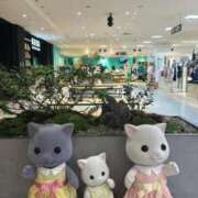 ヒメ日記 2025/04/30 14:58 投稿 にこ ごほうびSPA京都店