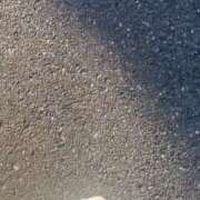 ヒメ日記 2025/06/22 11:48 投稿 ゆき チューリップ土浦店