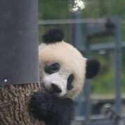 ヒメ日記 2025/11/04 12:58 投稿 ゆき チューリップ土浦店