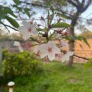 ヒメ日記 2025/04/19 19:16 投稿 ひめか ぷるるん小町 京橋店