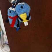 ヒメ日記 2026/03/15 10:00 投稿 ひめか ぷるるん小町 京橋店