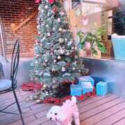 ヒメ日記 2025/01/17 09:07 投稿 せり マリン宮殿雄琴店