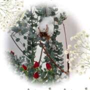 ヒメ日記 2024/12/15 09:47 投稿 はなぶさ 東京人妻セレブリティ（ユメオト）