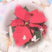 ヒメ日記 2024/12/15 18:51 投稿 はなぶさ 東京人妻セレブリティ（ユメオト）