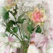 ヒメ日記 2024/12/17 23:14 投稿 はなぶさ 東京人妻セレブリティ（ユメオト）