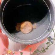 ヒメ日記 2024/12/18 23:54 投稿 はなぶさ 東京人妻セレブリティ（ユメオト）