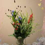 ヒメ日記 2025/01/14 23:57 投稿 はなぶさ 東京人妻セレブリティ（ユメオト）