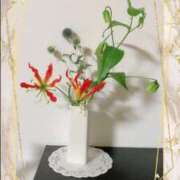 ヒメ日記 2025/01/19 01:06 投稿 はなぶさ 東京人妻セレブリティ（ユメオト）