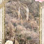 ヒメ日記 2025/01/23 15:09 投稿 はなぶさ 東京人妻セレブリティ（ユメオト）