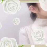 ヒメ日記 2025/01/28 13:54 投稿 はなぶさ 東京人妻セレブリティ（ユメオト）