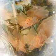 ヒメ日記 2025/01/29 01:11 投稿 はなぶさ 東京人妻セレブリティ（ユメオト）