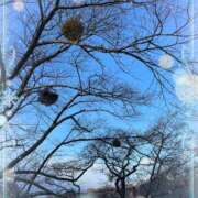 ヒメ日記 2025/01/29 23:28 投稿 はなぶさ 東京人妻セレブリティ（ユメオト）