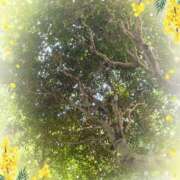 ヒメ日記 2025/02/01 07:15 投稿 はなぶさ 東京人妻セレブリティ（ユメオト）