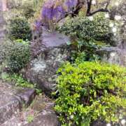 ヒメ日記 2025/02/06 02:43 投稿 はなぶさ 東京人妻セレブリティ（ユメオト）